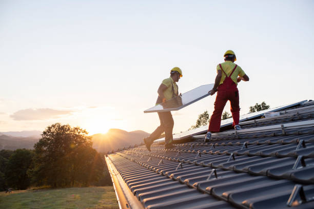 Best Flat Roofing  in Coldwater, MI