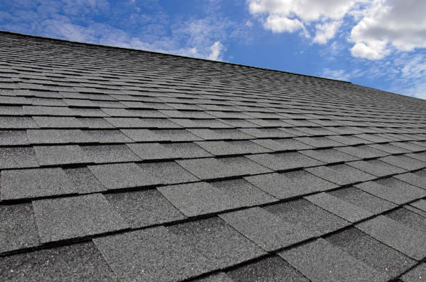 Best Solar Panel Roofing Installation  in Coldwater, MI